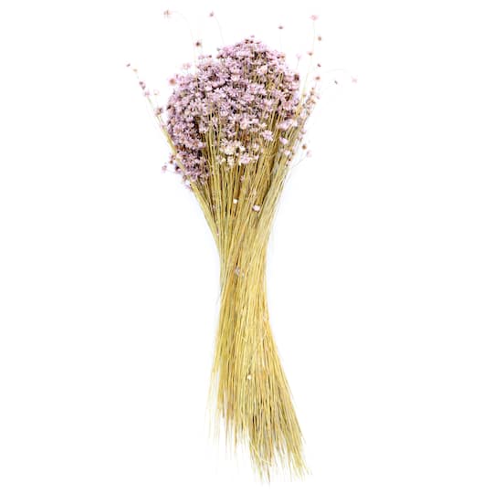 Dried Flowers, Grasses & Floral Arrangements